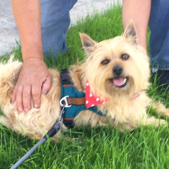 Meet your Posher, Annette - Picture 1 of 1